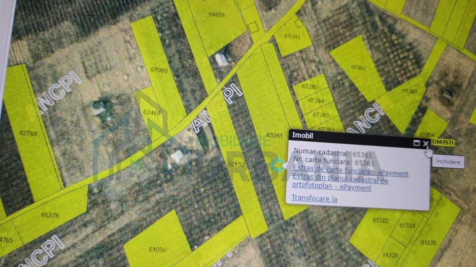 Teren intravilan 5.050 mp Tomesti–Chicerea | P+2E | casa sau parcelare - Poză 2