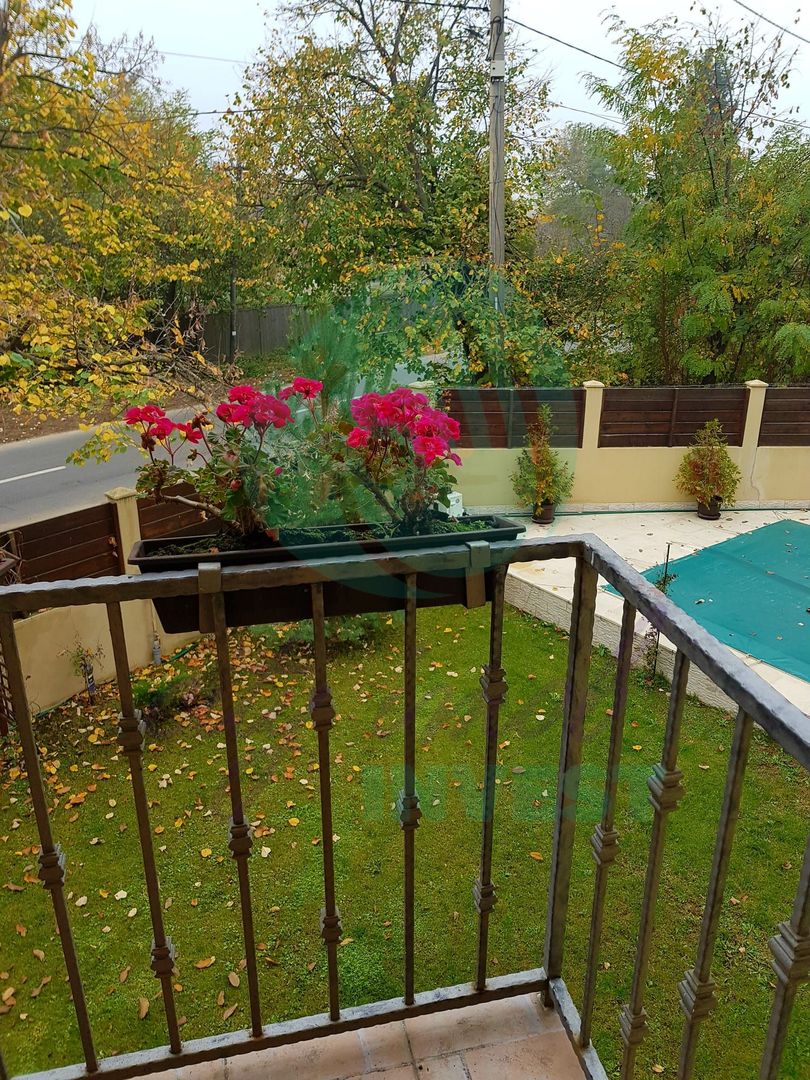 Silistea Snagovului-Casa de VACANTA  cu piscina - Poză 17