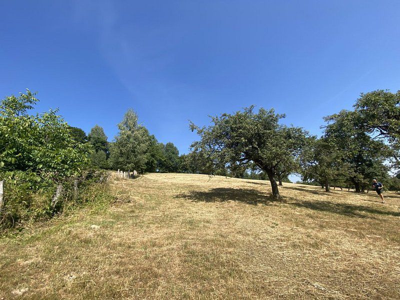 Teren extravilan de vânzare în Râșnov | 6.070 mp | Vedere panoramică - Poză 8