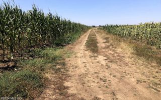 Moara Vlasiei - langa Padurea Biglaru, 11.884 mp, deschidere 40 ml - Poză 8