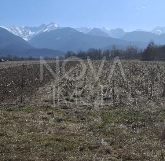 Teren extravilan de vanzare - Arpasul de Sus - Poză 3