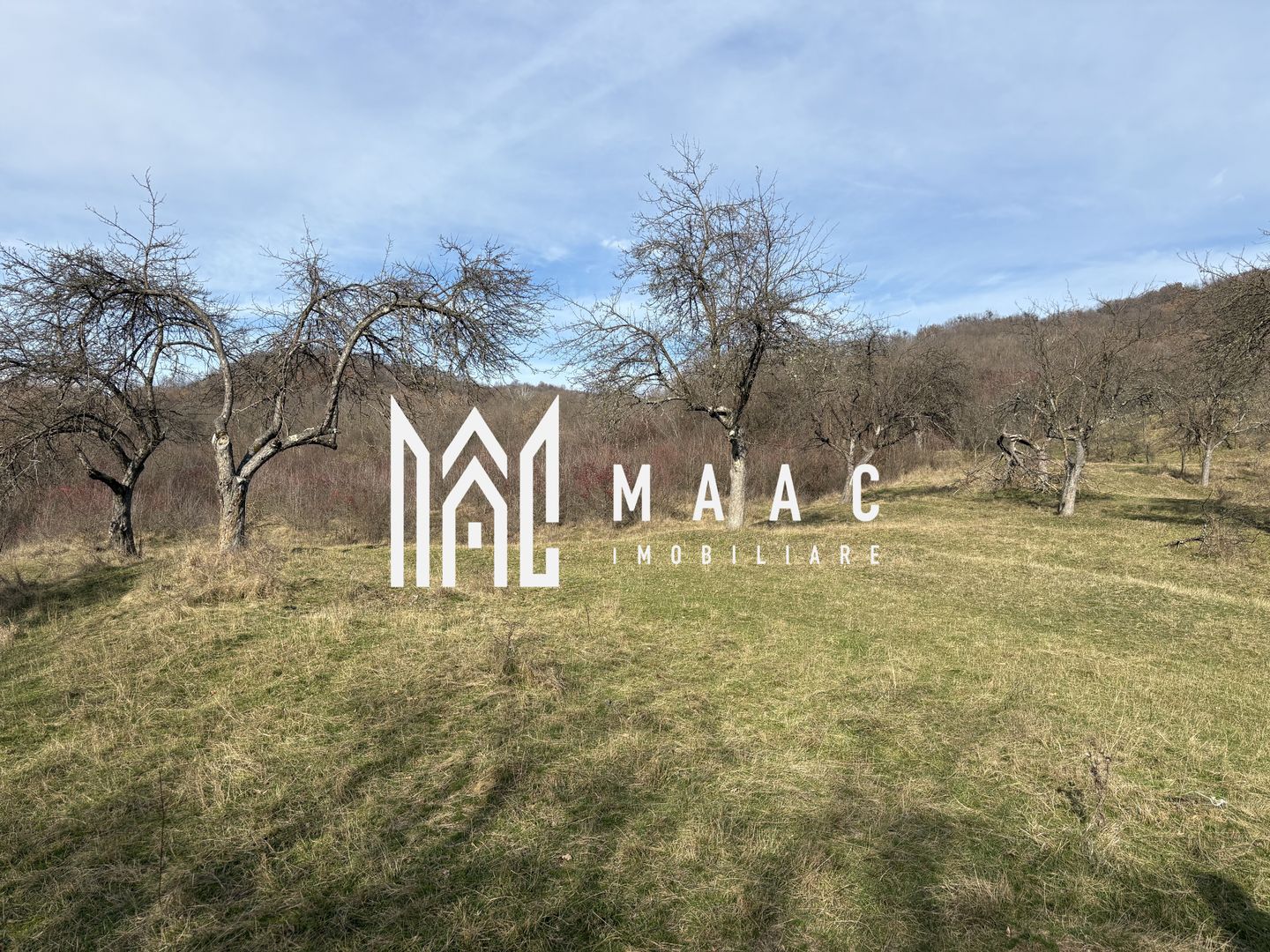 Teren  extravilan I 5300 mpI  Salatrucel -Calimanesti - Poză 1