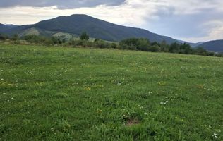 Teren la Orlat cu vedere spre munti