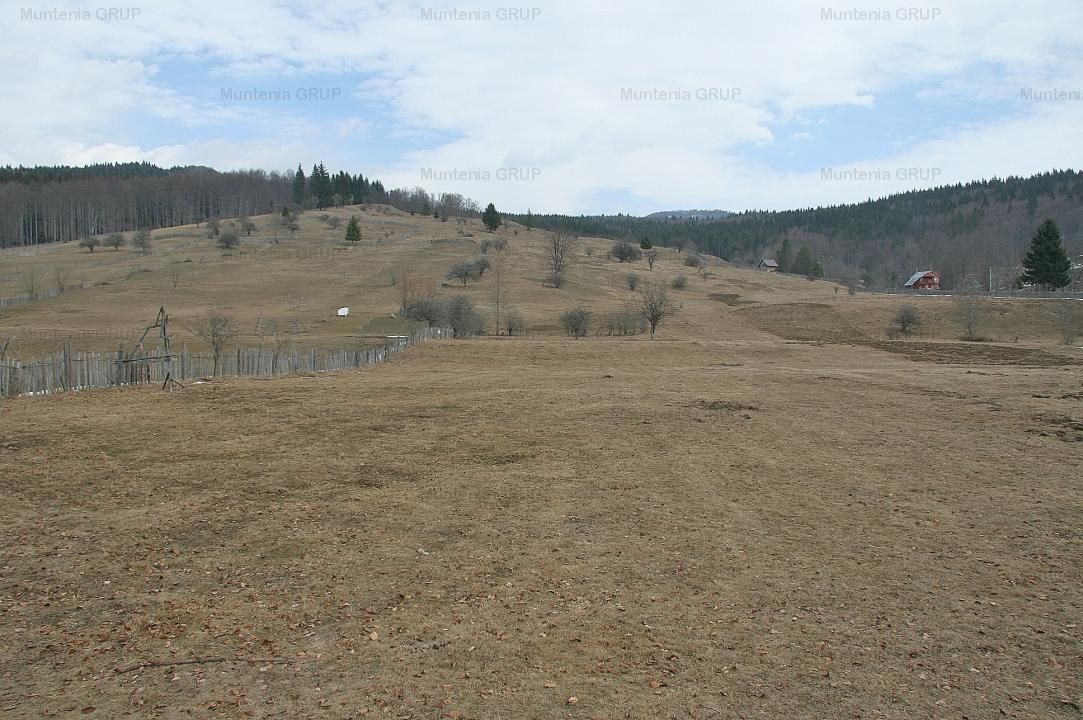 VALEA DOFTANEI - Traisteni, langa Conacul Dascalu, vanzare 2.537 mp. teren - Poză 10