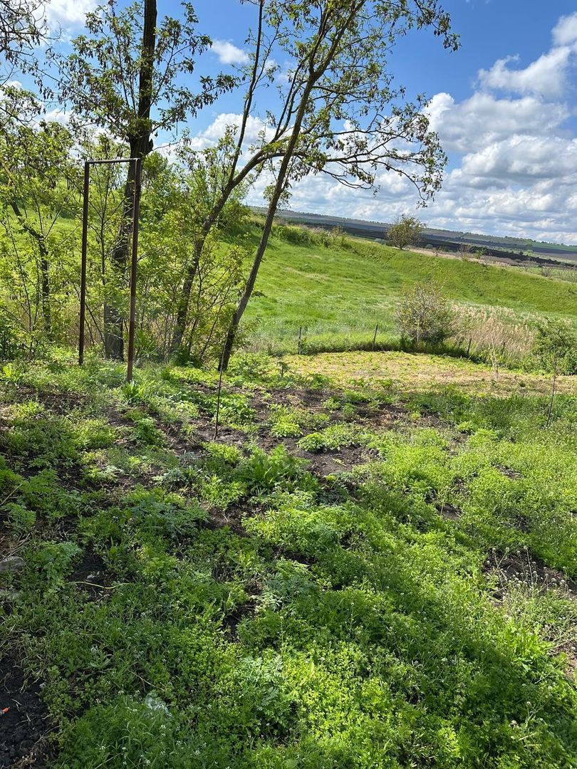 Vânzare, сasă, strada Calea Moșilor, s. Pelinia, or. Drochia - Poză 18
