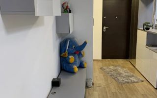 Apartament 2 camere Tineretului - Poză 7
