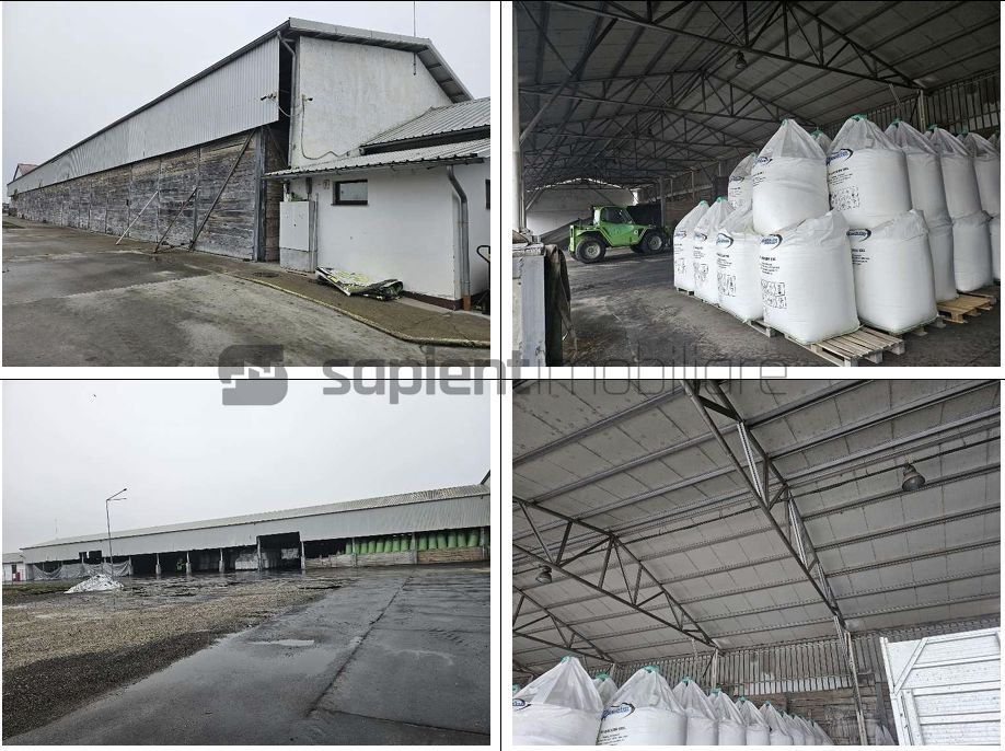 Proprietate industrială  Platformă logistică de vânzare în Tinca - Poză 6