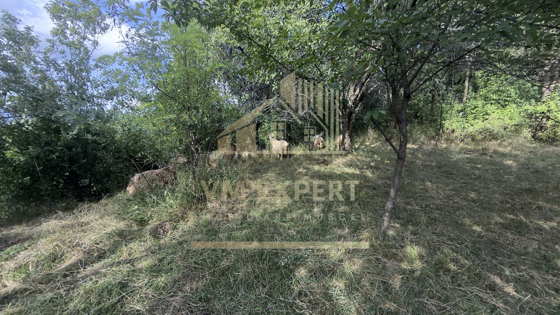 CASA 3 CAMERE TEREN 7770 MP BOTENI ARGEȘ - Poză 26