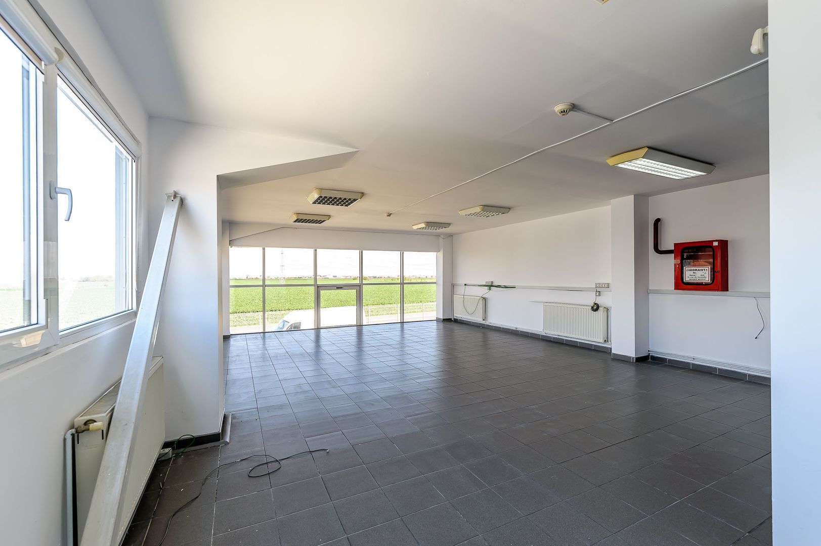 Hală industrială ideală pentru producție sau showroom în Arad 553mp - Poză 7
