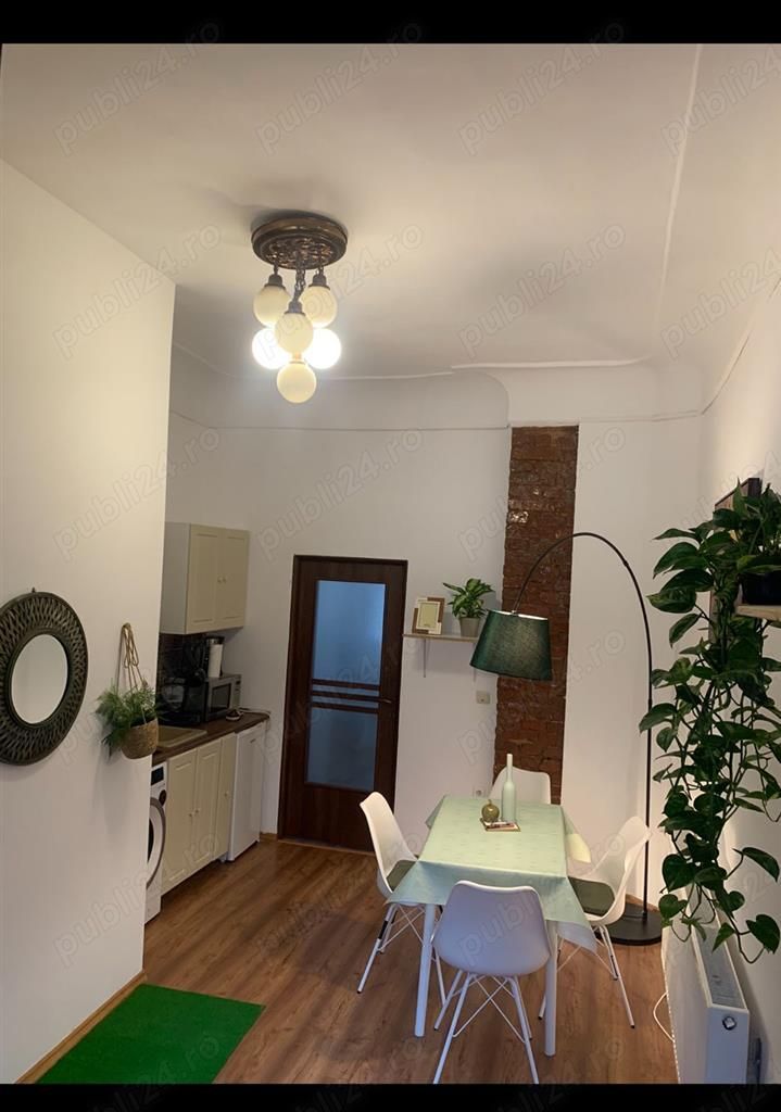 Apartament 1 camera Ultracentral etaj 1 cu centrala - Poză 9