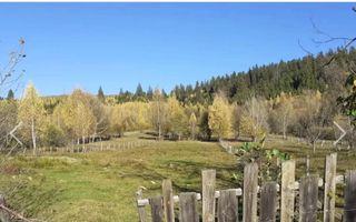 TEREN INTRAVILAN 2100 MP, LERESTI, PRET 42000 EURO - Poză 3