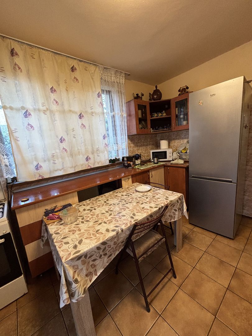 Casă P+1+M de vânzare în Rovine – zona Vasile Alecsandri/Nicolae Iorga - Poză 16