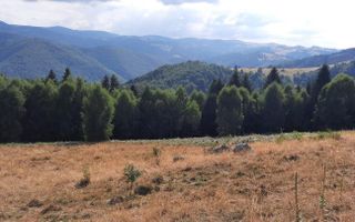 Teren Extravilan | 19.593 MP | Zona Saliste - Poză 2