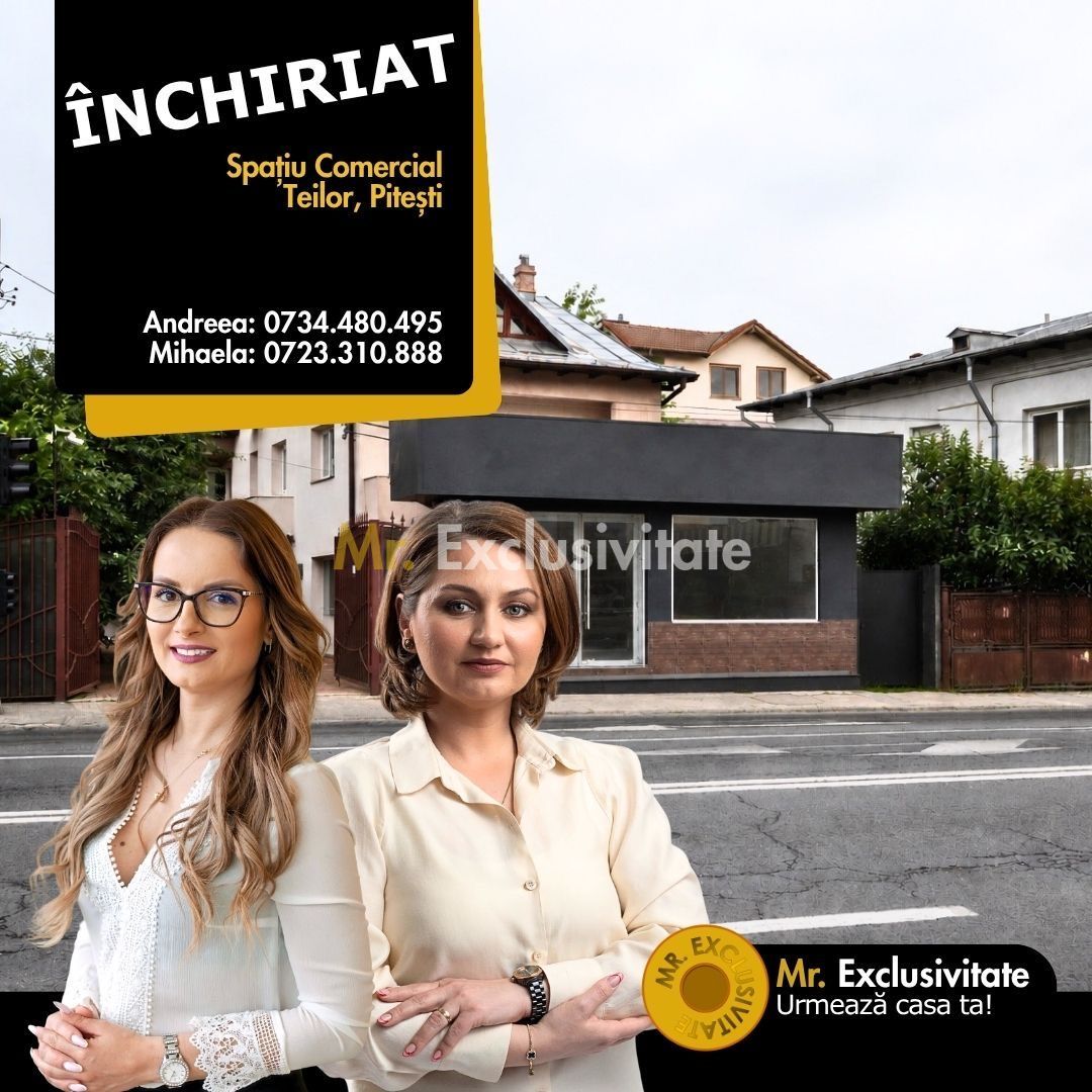 Spatiu Comercial Stradal -zona Teilor -De închiriat-Pitesti - Poză 1