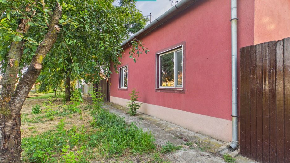Casă modestă cu 3 camere din văiugă în Bătania - Poză 2