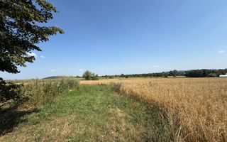 Teren intravilan de vânzare | Horodnic de Sus | 77 ari - Poză 7