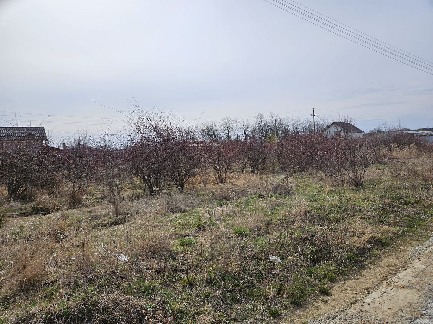 Teren intravilan 882 mp, Smeura - Hintesti - Poză 9