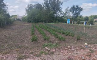 Teren 701 mp-ideal investitie, cabana, gradina-Slatinita - Poză 1