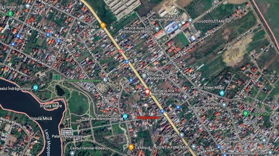 Teren de 4 Hectare în Mogoșoaia – Investiție Strategică cu Potențial Ridicat - Poză 1