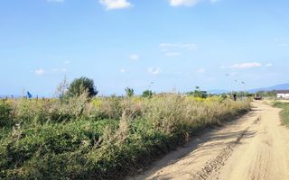 teren intravilan in Sacele-Baciu - Poză 6