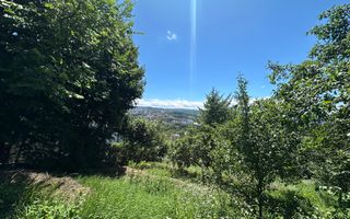 Vanzare teren 2387 mp, front 17,3 ml, Serpuitoare , Gruia - Poză 5