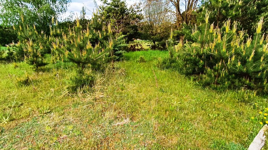 Teren in localitatea Reci,langa lacuri - Poză 9