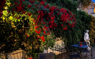 Vila de vanzare in zona Centrala/Orasul de jos - Poză 57