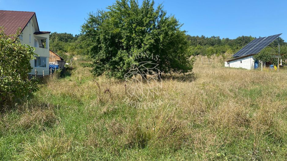 Teren intravilan 1300 mp-parcelabil-Viile cu Pomi-Unirea-Exclusiv - Poză 6