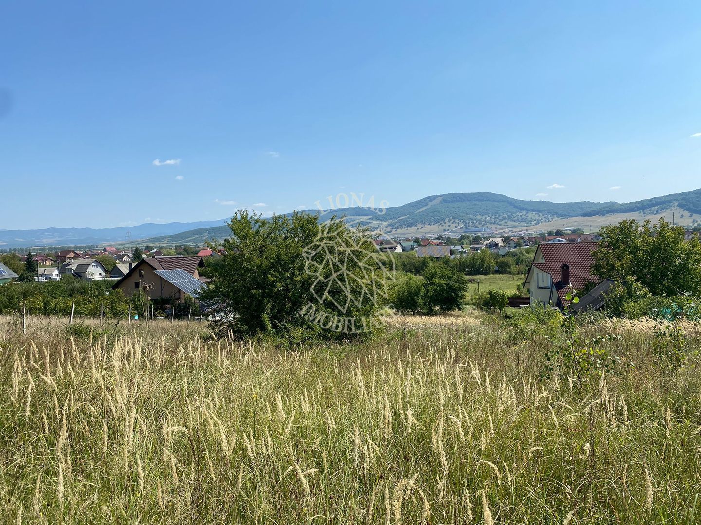 Teren intravilan 1300 mp-parcelabil-Viile cu Pomi-Unirea-Exclusiv - Poză 7