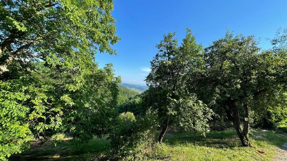 Teren zona turistica Rosia - Poză 2