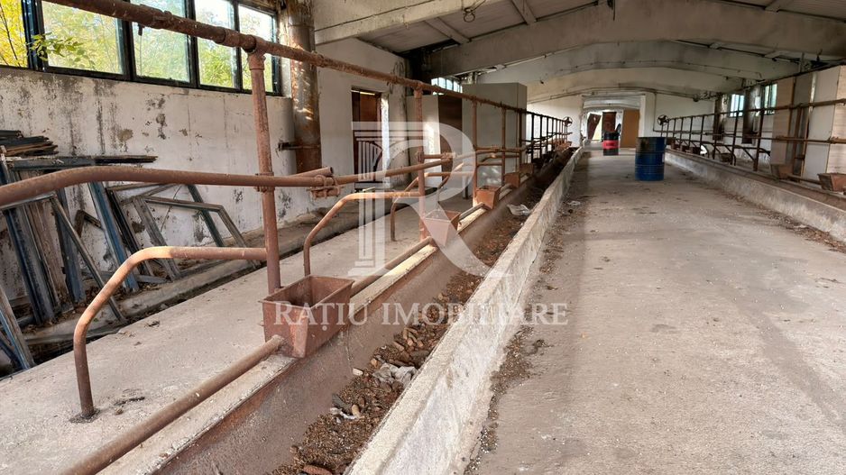 Fermă Sărand | Bihor | 25.659 mp teren intravilan - Poză 11