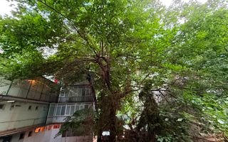 Apartament 2 camere Primaverii 10 min Herastrau - Poză 1