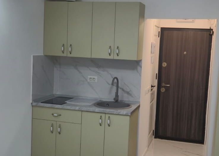 GARS. THEODOR PALLADY, PRIMA INCHIRIERE, BUCATARIE DESCHISA, METROU - Poză 4