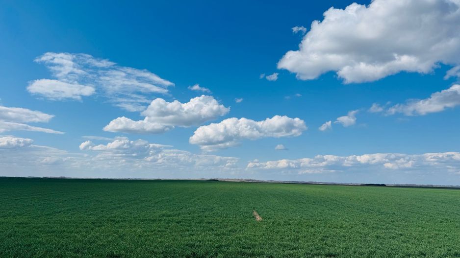 Teren extravilan 17700mp Biharia - Poză 4