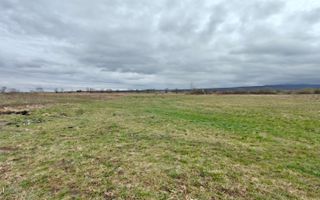 Teren extravilan I 2400 mp I Arabil I Teren drept I Cristian - Poză 2