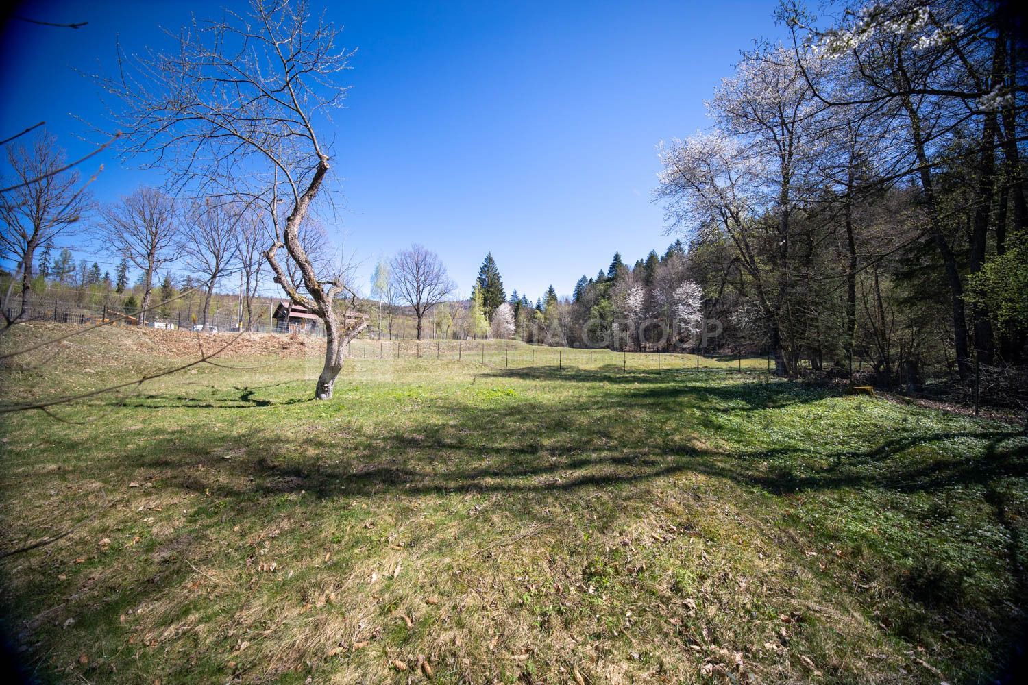 Teren intravilan, pretabil pentru casa de vacanta, 2000 mp - Poză 15