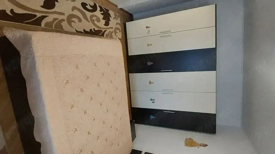 Apartament 2 camere zona Dristor - Park Lake - Poză 3