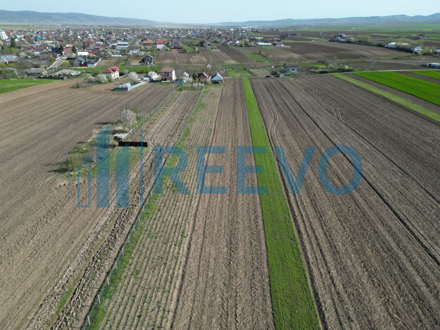 Teren de vânzare, Com. Nicolae Bălcescu, Jud. Bacău - Poză 12