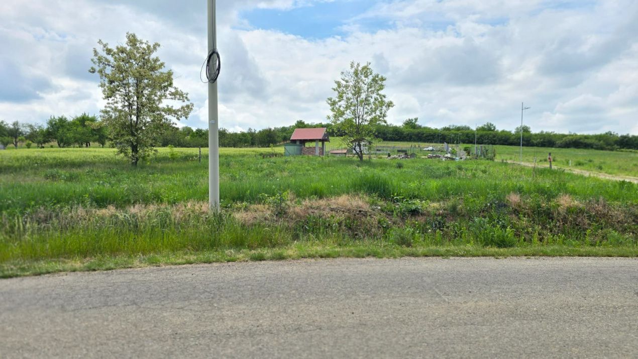 Teren intravilan Ardud Vii Satu Mare - Poză 1