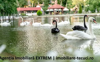 Pensiune, restaurant, bar, iaz, păstrăvărie, în Gidigeni, jud. Galaţi - Poză 12