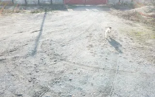 Spatiu rezidential/industrial Ortisoara - Poză 19