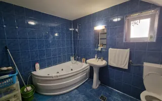 Casa 5 Camere, Zona Alba Micesti,  660 mp Teren - Poză 20