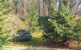 Vanzare vila 5 camere | Langa padure | Bucuresti | Baneasa - Poză 18