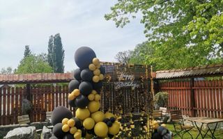 CASĂ\VILĂ DE VÂNZARE \COM. OBREJA\SAT IAZ\CARAȘ-SEVERIN - Poză 8