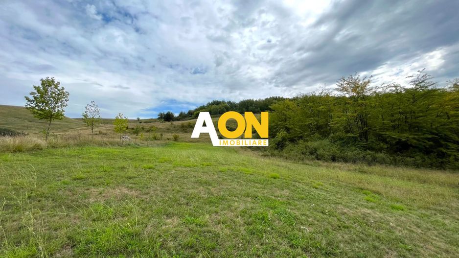 Teren de vanzare in Ciugud, 4200MP, Priveliste, Padure - Poză 2