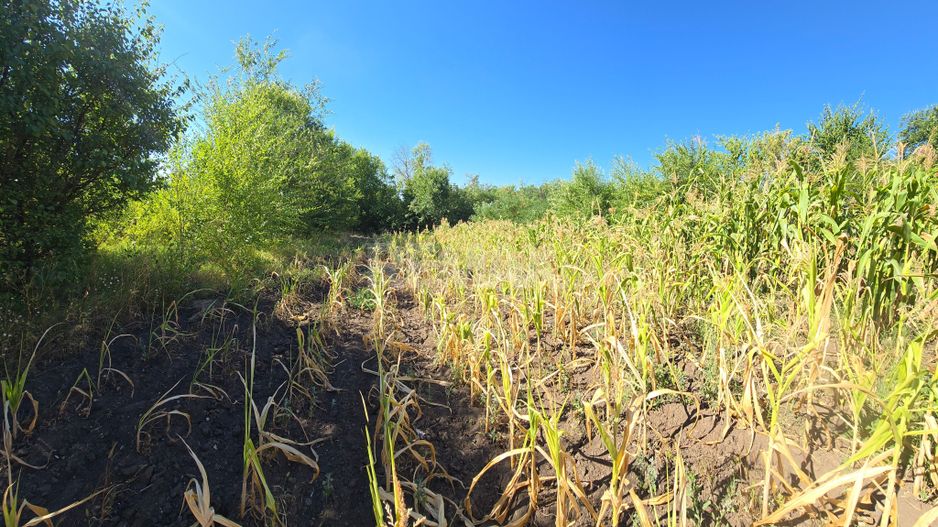10 ari pentru construcții agroindustriale - Poză 5
