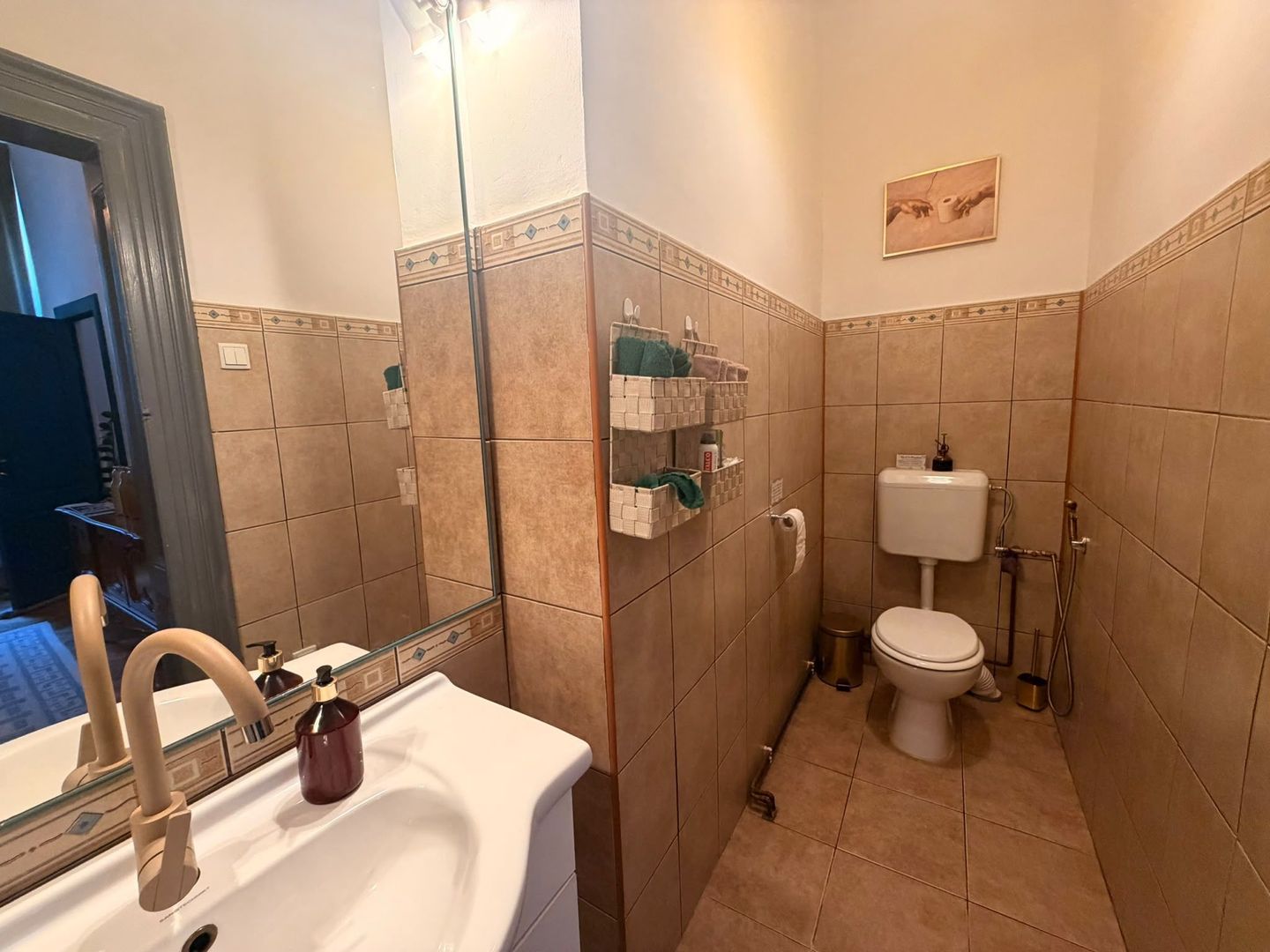 Apartament 5 camere  in vila - Zona Armeneasca - Poză 14