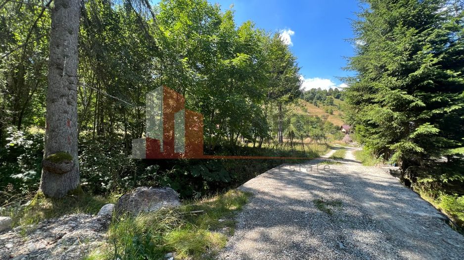 Teren Bran Poarta langa Padure - Poză 5