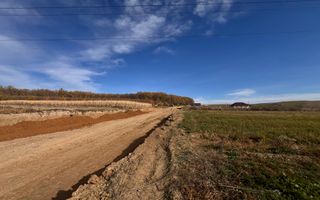 Teren De Vanzare  Intravilan  31 Ari I Suceava/Burdujeni  I 38.000Euro - Poză 2