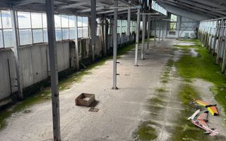 Hala In oras str Traian eligibil program "Tranzitie Justa" - Poză 5